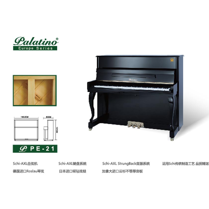 帕拉天奴钢琴PE-21图片