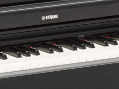 电钢琴YDP-163[ARIUS系列] 图片